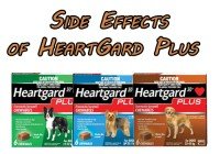 Side Effects of Heartgard Plus- JAN. 2020 Updated