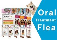 Oral flea treatments for dogs