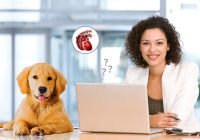 Questions To Learn About Heartworms in Dogs