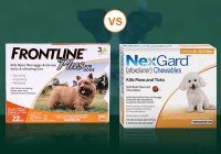Most Compelling Product Nexgard Vs Frontline Plus