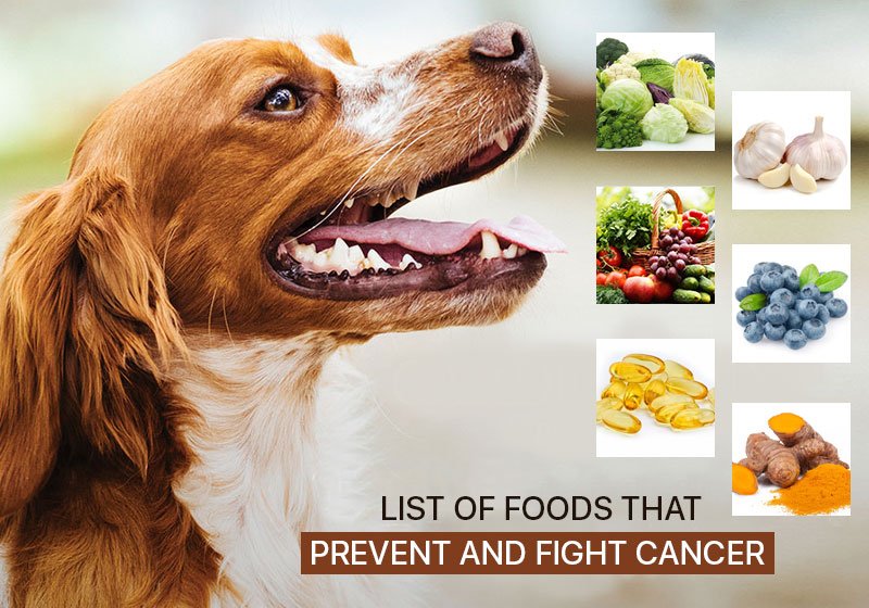 Food that fight against Cancer