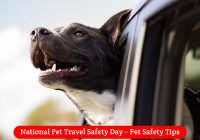 National-Pet-Travel-Safety-Day