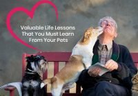 Valuable Life Lessons learn from your Pets