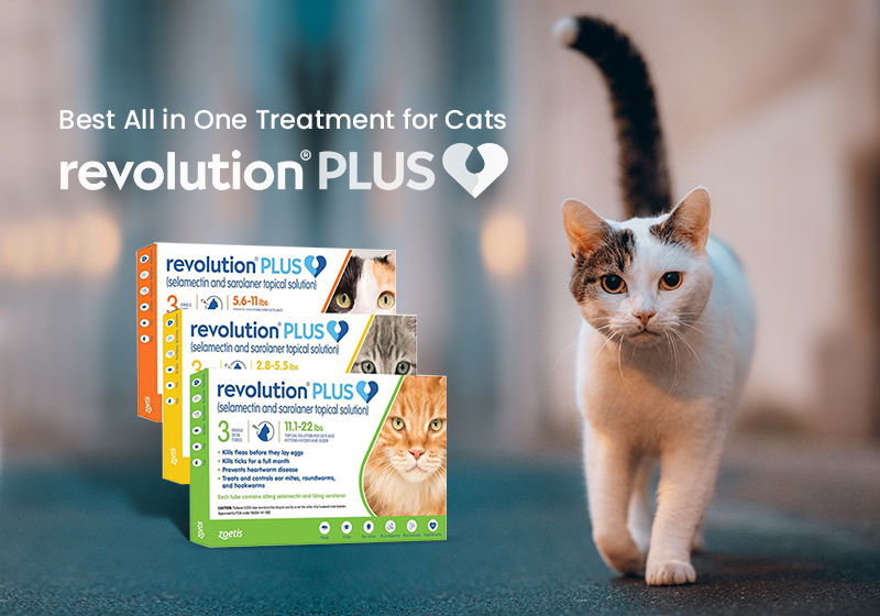 Revolution Plus Best Broad Spectrum Treatment for Cats