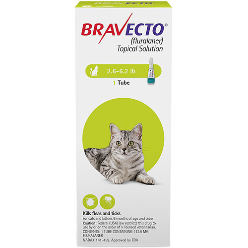 bravecto spot on for cats reviews