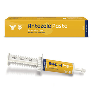 Antezole Deworming Paste for Dogs