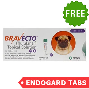 Bravecto Topical For Small Dogs (9.9 - 22 Lbs) Orange 1 Doses + 2 Free Endogard Tabs(small)