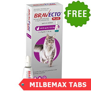 Buy Bravecto Plus For Cats Online At Lowest Price Bestvetcare Com