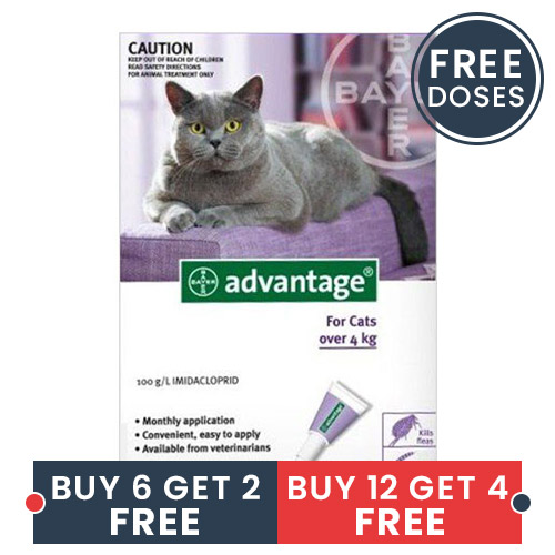 Advantage Cats Over 10lbs Purple 4 Doses