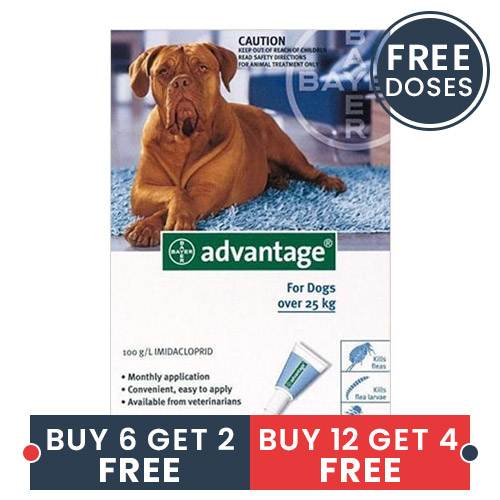 Advantage X-Large Dogs Over 55 Lbs Blue 6 + 2 Doses Free