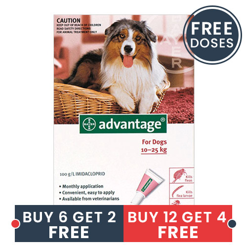 Advantage Large Dogs 21-55lbs Red 6 + 2 Doses Free