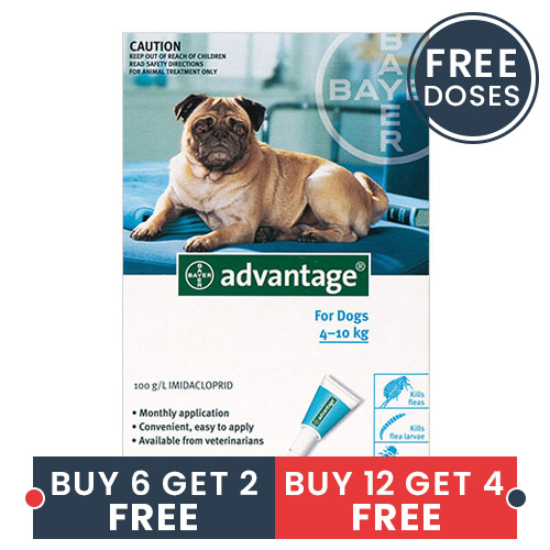 Advantage Medium Dogs 11-20lbs Aqua 4 Doses