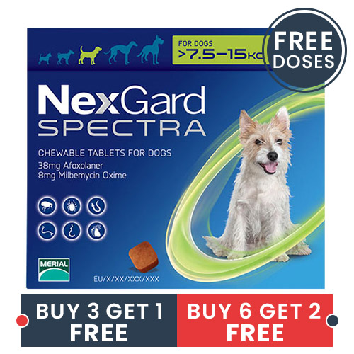 Nexgard Spectra Chewable Tablets for Medium Dogs 16 5 33 lbs Green 