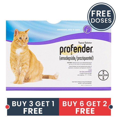 profender-large-cats-1-12-ml-11-17-6-lbs-of1-of_12032020_031725.jpg