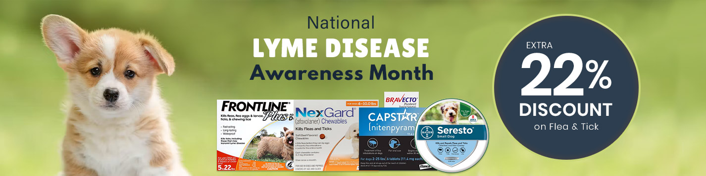 National Lyme Disesse Awareness Month