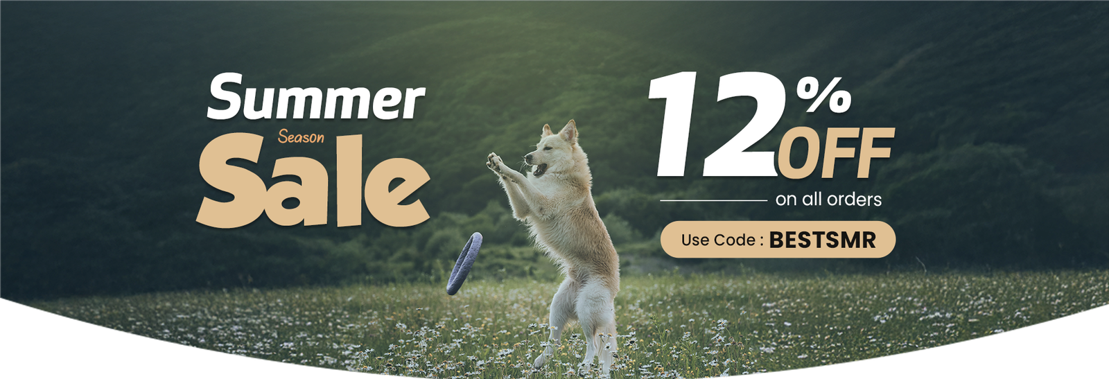 BIG SUMMER SALE!