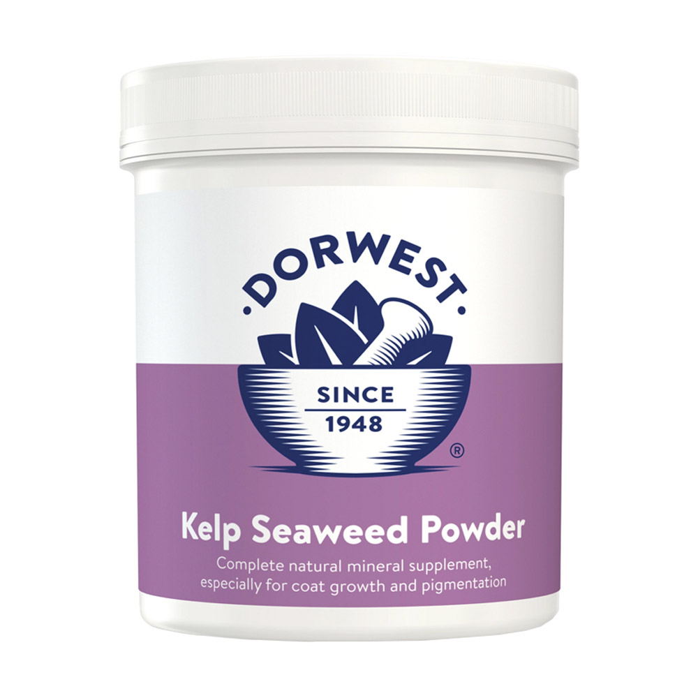 Dorwest Kelp Seaweed Powder for Dogs and Cats
