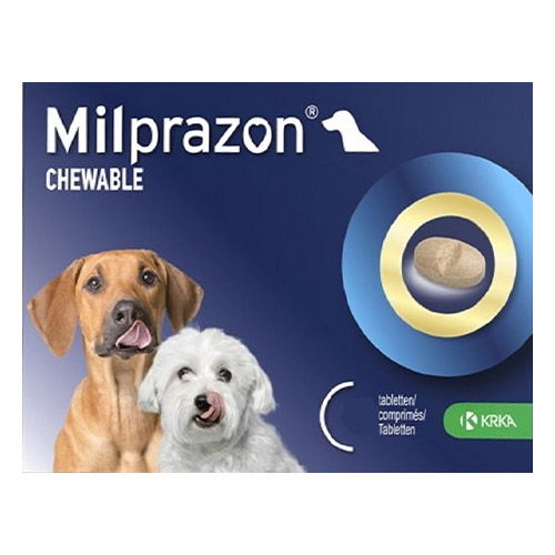 Chewable worming tablets for 2024 dogs