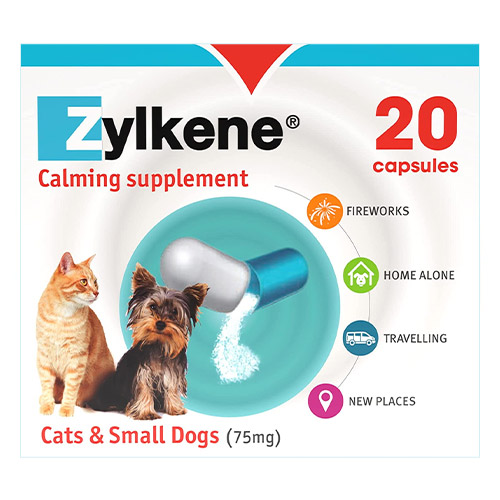 Zylkene Calming Supplement 
