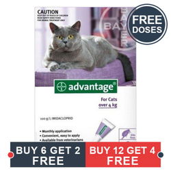 Advantage Cats over 10lbs (Purple)