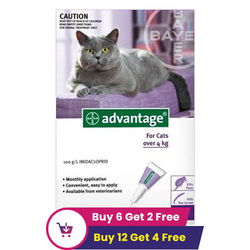 Advantage Cats over 10lbs (Purple)