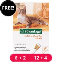 Advantage Kittens & Small Cats 1-10lbs