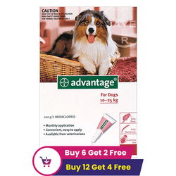 Advantage Large Dogs 21-55lbs (Red)