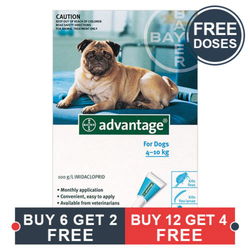 Advantage Medium Dogs 11-20lbs (Aqua)