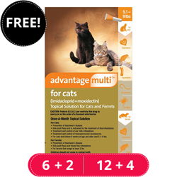 advantage-multi-advocate-kittens-and-small-cats-up-to-10lbs-orange-free-bf23.jpg