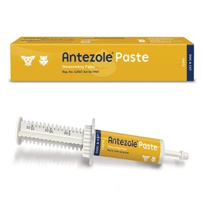 Antezole Deworming Paste for Dogs & Cats