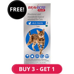 Bravecto Plus for Medium Cats 250 mg (6.2 to 13.75 lbs) Blue 