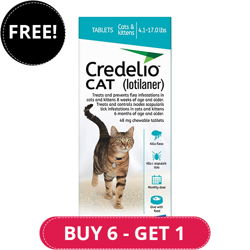 Credelio for Cats (48mg) 