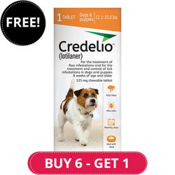 Credelio for Dogs 12 to 25 lbs (225mg) Orange
