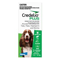 Credelio Plus For Large Dog 11-22kg (Green)