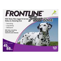 Frontline Plus Large Dogs 45-88 lbs (Purple)