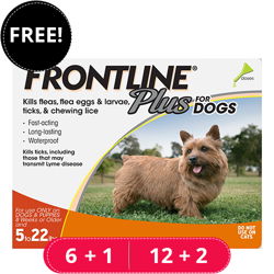 Frontline Plus for Small Dogs up to 22lbs (Orange)