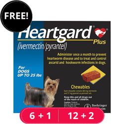 Heartgard Plus Chewables Small Dogs up to 25lbs (Blue)