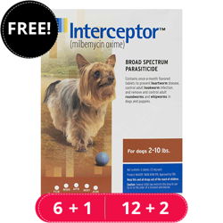 interceptor-for-extra-small-dogs-2-10-lbs-brown-free-bf23.jpg