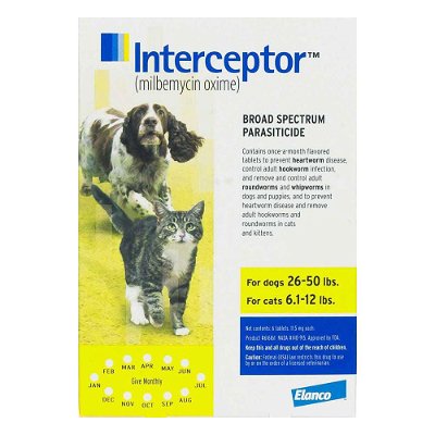Interceptor For Medium Dogs 26-50 lbs (Yellow)
