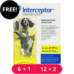 Interceptor For Medium Dogs 26-50 lbs (Yellow)