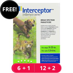 Interceptor For Small Dogs 11-25 lbs (Green)