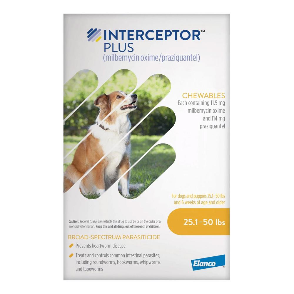 Interceptor Plus