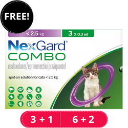 Nexgard Combo Upto 5.5 Lbs