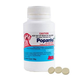 Popantel Allwormer for Dogs 10 Kg (22 lbs)