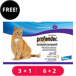 Profender Large Cats (1.12 ml) 11-17.6 lbs