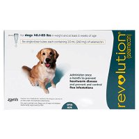 Revolution Large Dogs 40.1-85lbs (Green)