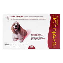 Revolution Medium Dogs 20.1-40lbs (Red)