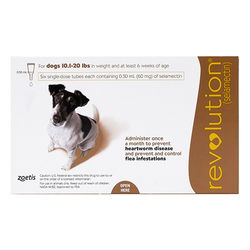 Revolution Small Dogs 10.1 - 20lbs (Brown)