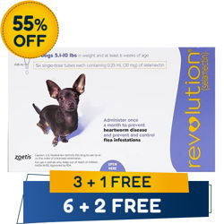 Revolution for Very Small Dogs 5.1-10 lbs (Purple)