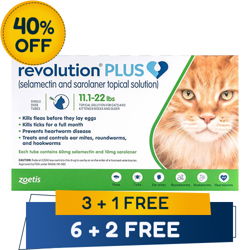 Revolution Plus for Large Cats 11-24lbs (5-10Kg) Green